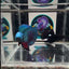 [Avatar] Highblue A64 Halfmoon - Male Betta
