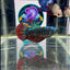 Avatar Galaxy Stardust King Halfmoon - Female Betta J11