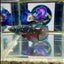 Avatar Blackblue Galaxy J50 Halfmoon - Female Betta