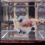 [AOC] Dumbo Blue A127 Plakat - Female Betta