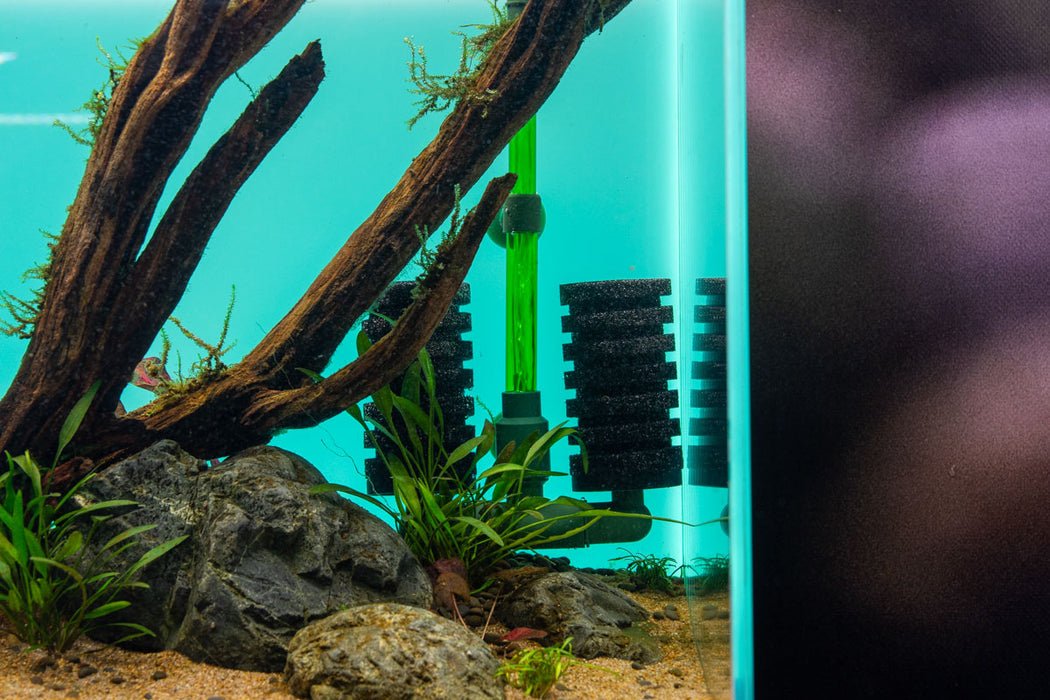 Qanvee Bio Sponge Filter QS200A for Sale | Aquarium Filter Aquarium Filter Air Pump Filter