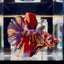 [Rare] Giant Koi Multicolor Bigtail A80 - Male Betta