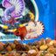 Red Fancy Copper Plakat - Male Betta 070