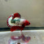 Red FCCP WS - Male Betta A12