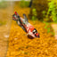 Red Koi Copper Plakat - Female Betta
