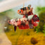 Red Koi Copper Plakat - Female Betta