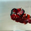 Red Koi Copper Plakat - Male Betta 123