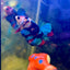 Red Koi Plakat - Male Betta J20