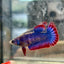 Red Mascot Plakat - Female Betta