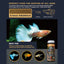 Ultra Fresh - Royal Guppy Mignon Pellet