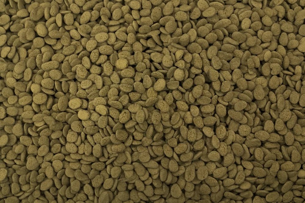 Extracto de hojas de almendra en polvo