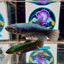 Wild Alien Gray A18 Plakat - Female Betta