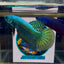 Wild Alien Rainbow J20 Plakat - Male Betta