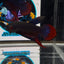 Wild Imbellis A59 Plakat - Male Betta