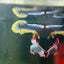 Yellow Mascot Plakat - Male Betta A20