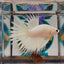 Young White Crowntail Halfmoon A145 - Male Betta