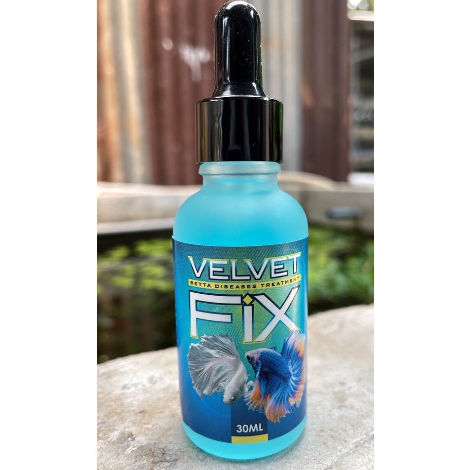 Tratamiento de enfermedades de los peces Betta