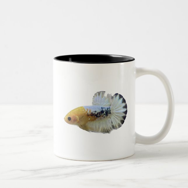 Betta Mugs