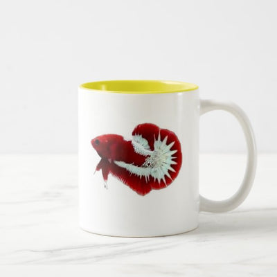 Betta Mugs