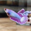 Purple Pink Dragon - Betta